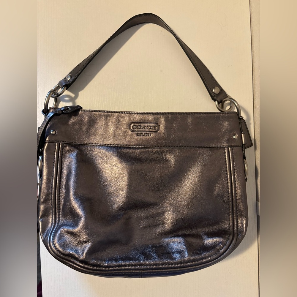 Coach Metallic Leather Hobo Shoulder Bag